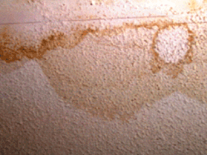 Interior Water Damage