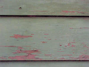 Wood Siding peeling